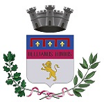 Logo Comune di Dello