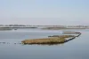 vincolo_idrogeologico_thumbnail